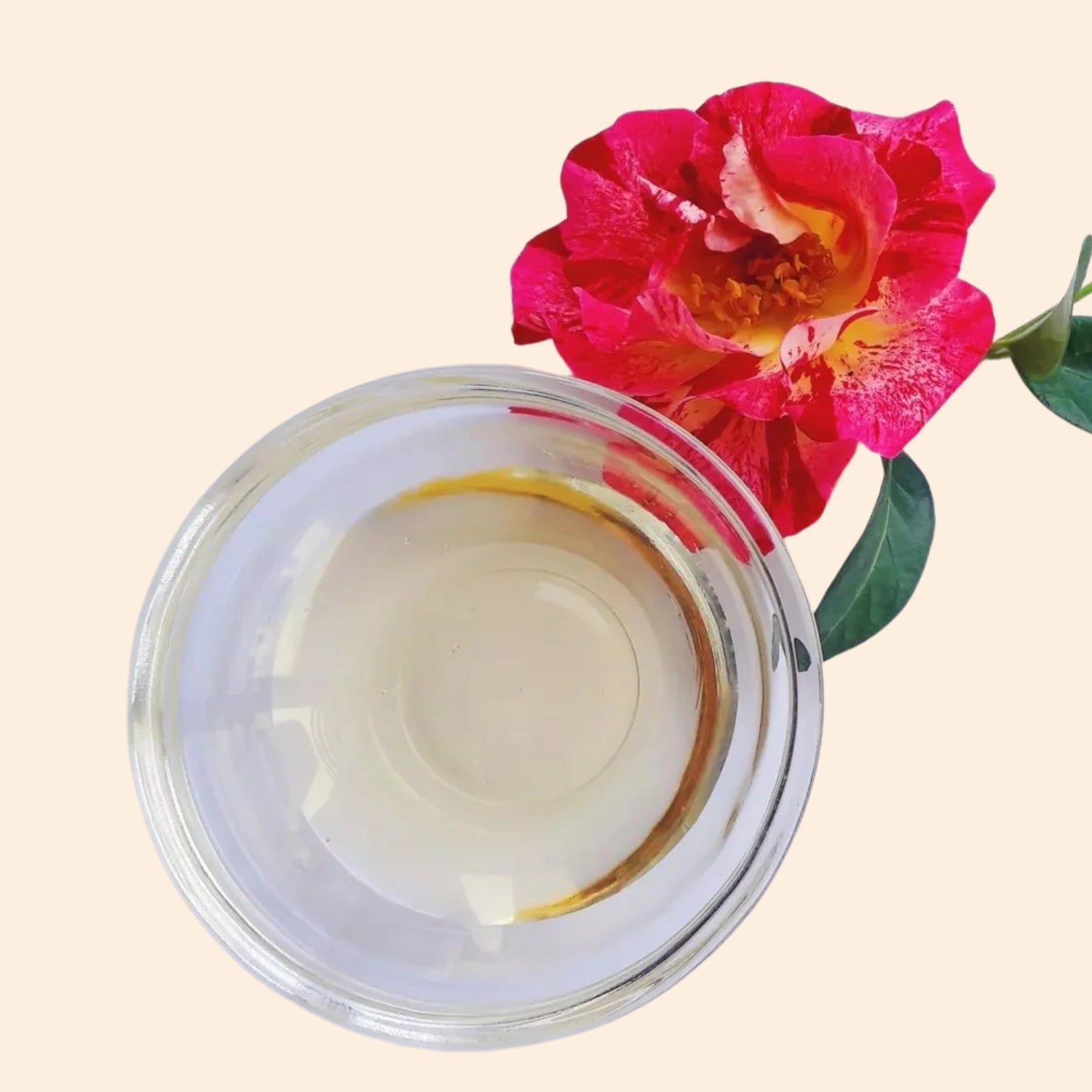Shoprythm Hydrosols Camellia Hydrosols Shoprythm Hydrosols Camellia Hydrosols